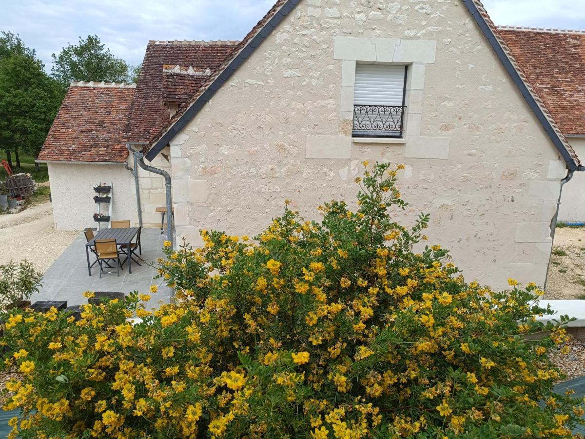 Gite De La Grand Maison Le Noyer Seigy エクステリア 写真