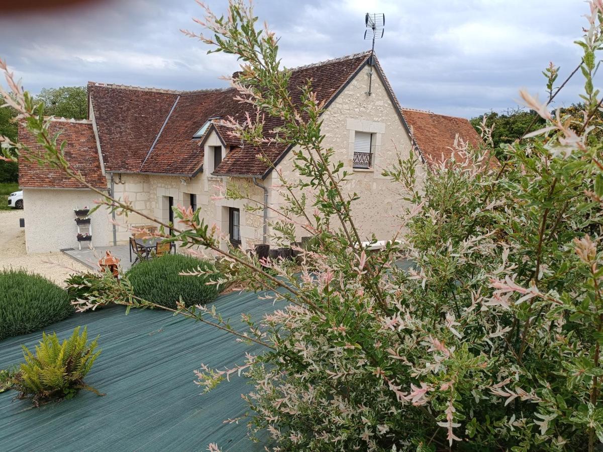 Gite De La Grand Maison Le Noyer Seigy エクステリア 写真